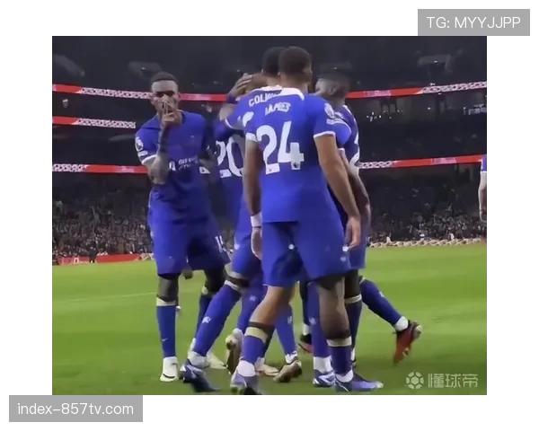 球迷因向场内投掷杂物干扰客队罚球,被禁止入场观赛一年